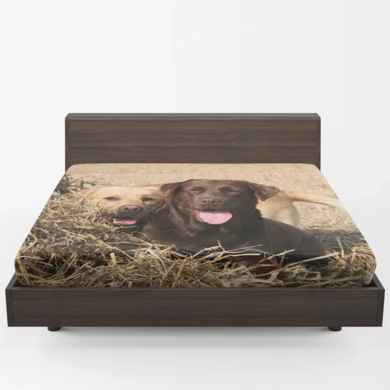 Playful Duo Labrador and Terrier Fitted Sheet