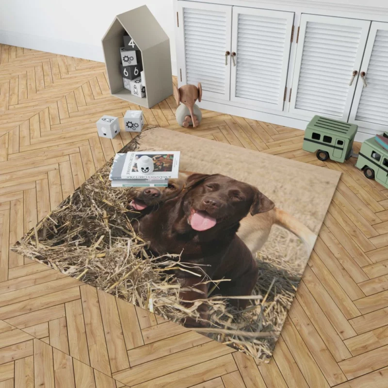 Playful Duo Labrador and Terrier Rug 1