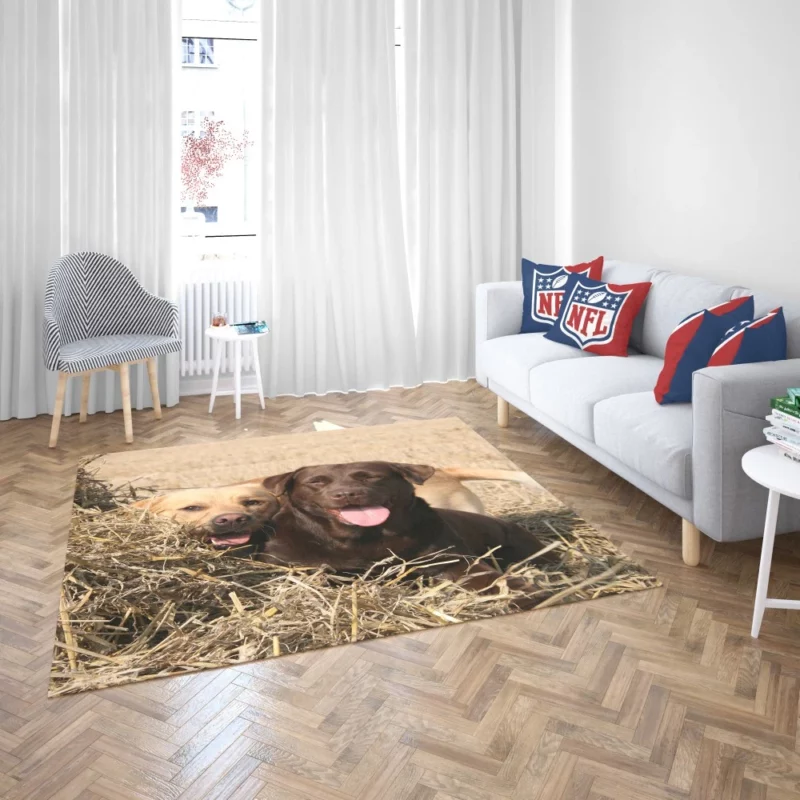 Playful Duo Labrador and Terrier Rug 2