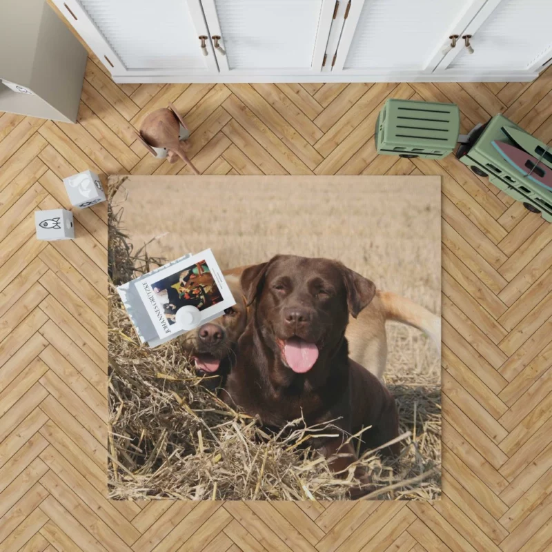 Playful Duo Labrador and Terrier Rug