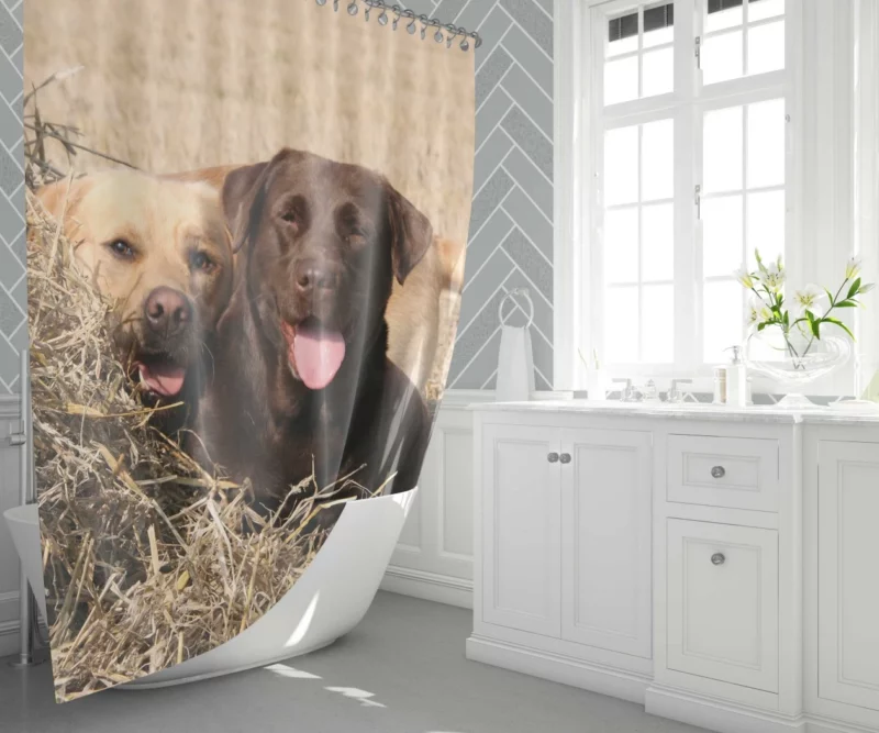 Playful Duo Labrador and Terrier Shower Curtain 1