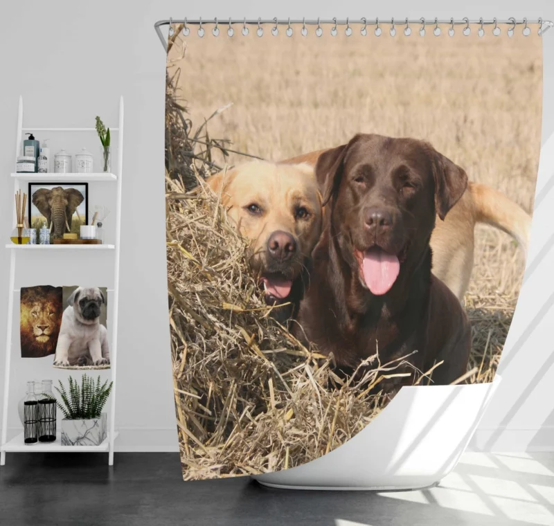 Playful Duo Labrador and Terrier Shower Curtain