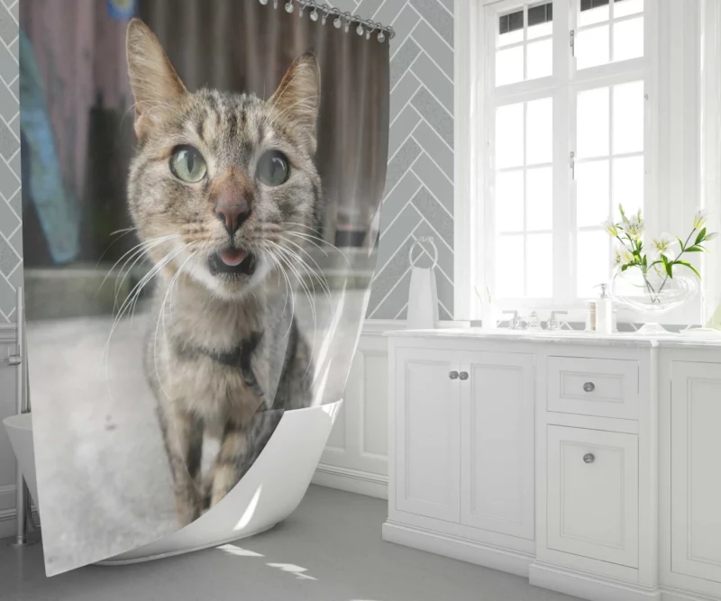 Playful Gaze Curious Cat Whisker Wonder Shower Curtain 1