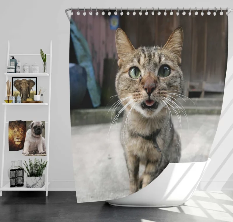 Playful Gaze Curious Cat Whisker Wonder Shower Curtain