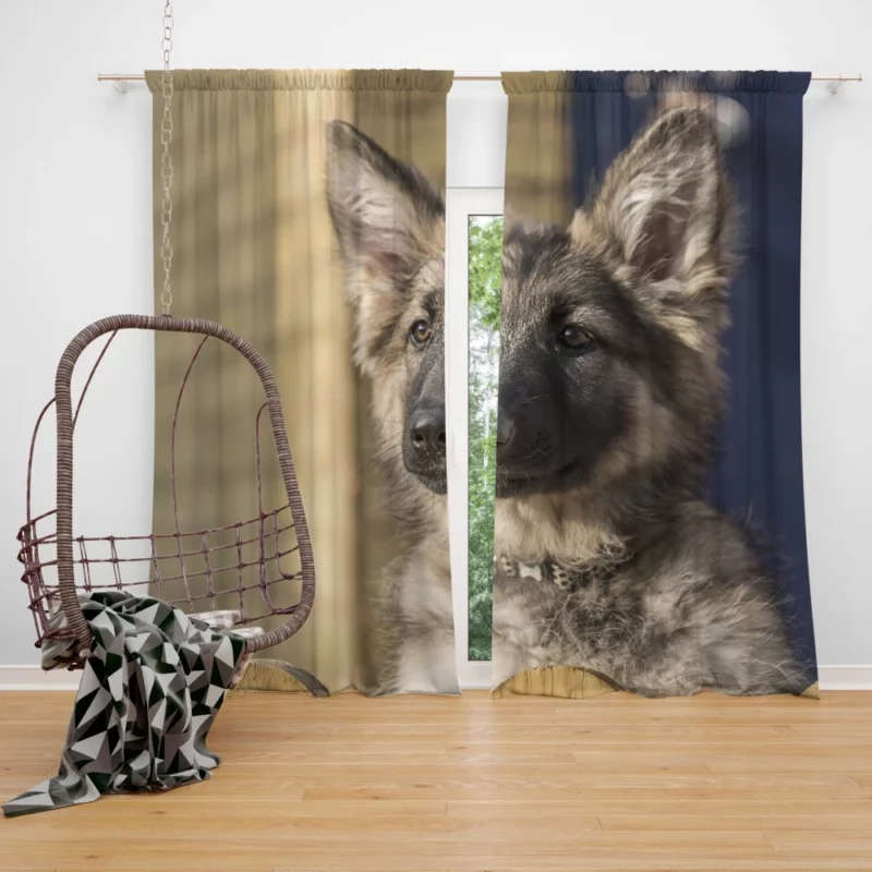 Playful German Shepherd Puppy Furry Delight Curtain