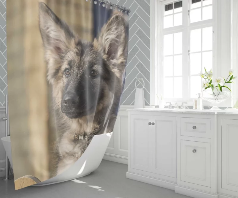 Playful German Shepherd Puppy Furry Delight Shower Curtain 1