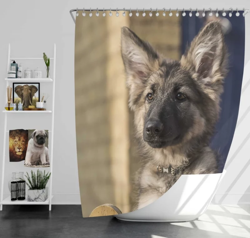 Playful German Shepherd Puppy Furry Delight Shower Curtain