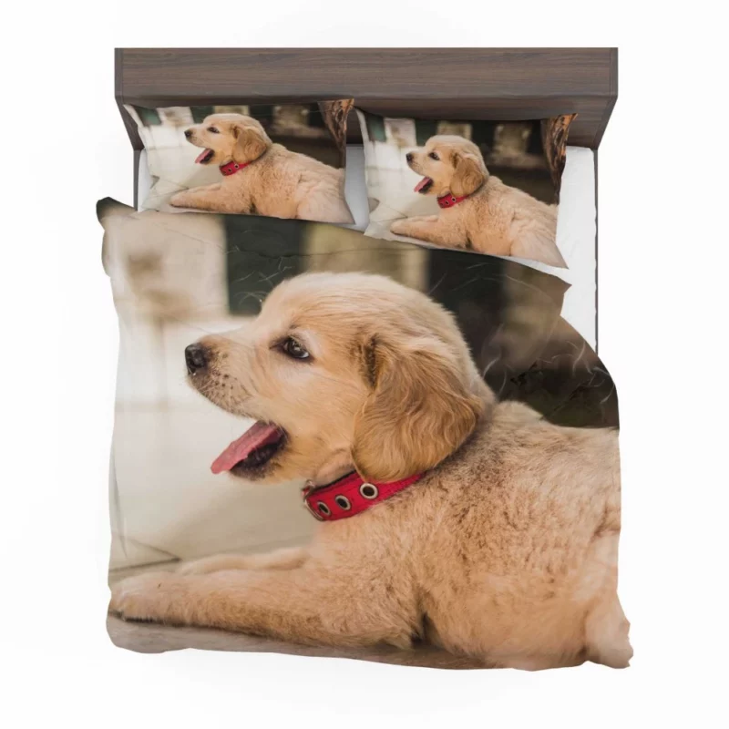 Playful Golden Retriever Puppy Furry Delight Bedding Set 1