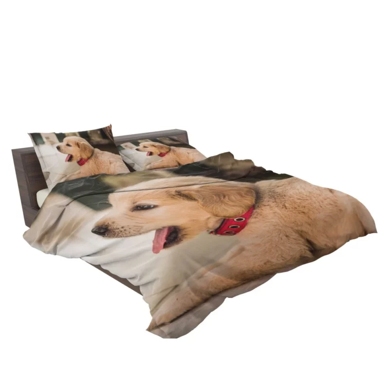 Playful Golden Retriever Puppy Furry Delight Bedding Set 2