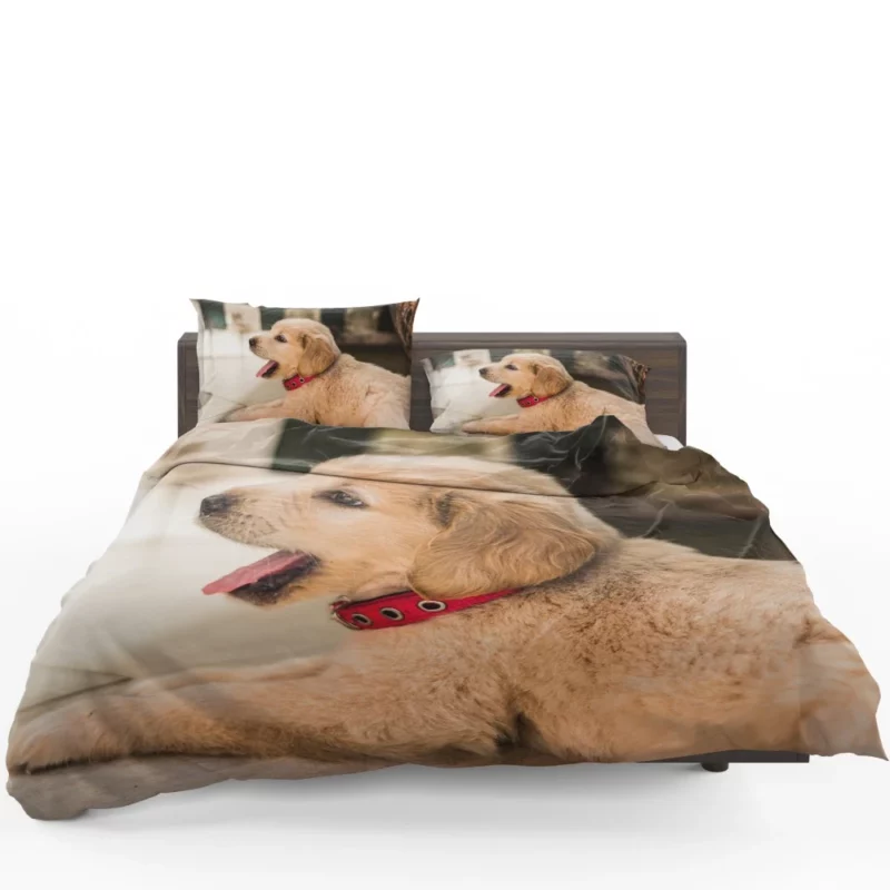 Playful Golden Retriever Puppy Furry Delight Bedding Set