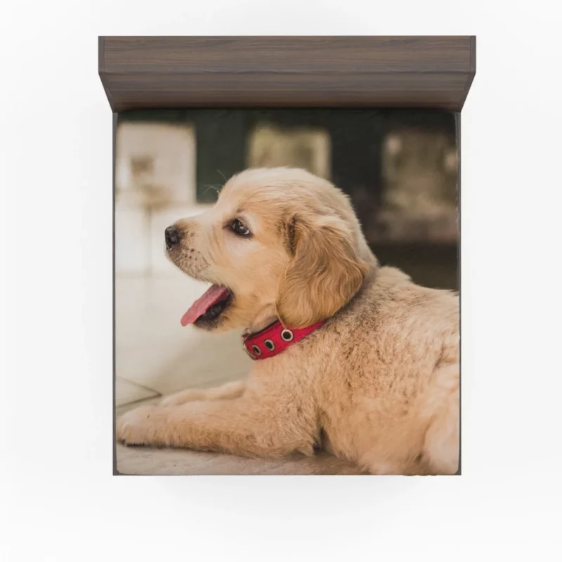 Playful Golden Retriever Puppy Furry Delight Fitted Sheet 1