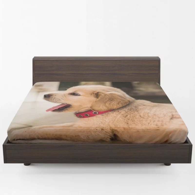 Playful Golden Retriever Puppy Furry Delight Fitted Sheet