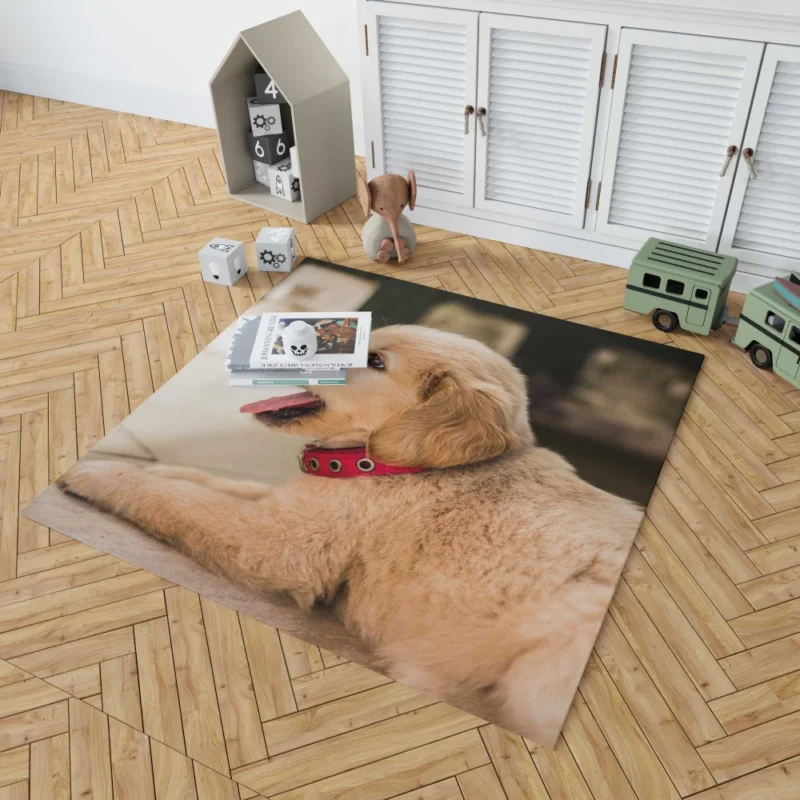 Playful Golden Retriever Puppy Furry Delight Rug 1