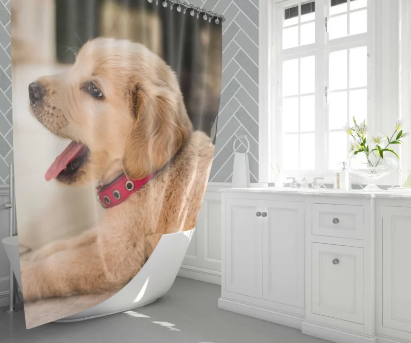 Playful Golden Retriever Puppy Furry Delight Shower Curtain 1