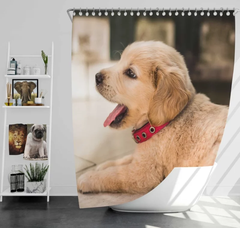 Playful Golden Retriever Puppy Furry Delight Shower Curtain