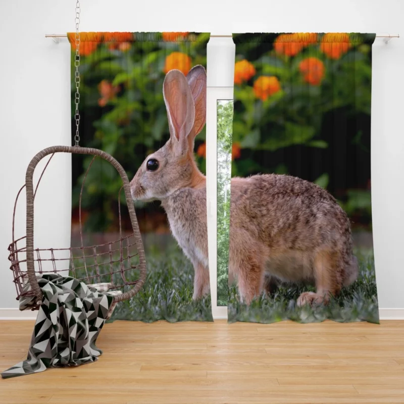 Playful Innocence Rabbit Whisker Charm Curtain