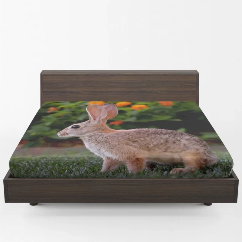 Playful Innocence Rabbit Whisker Charm Fitted Sheet