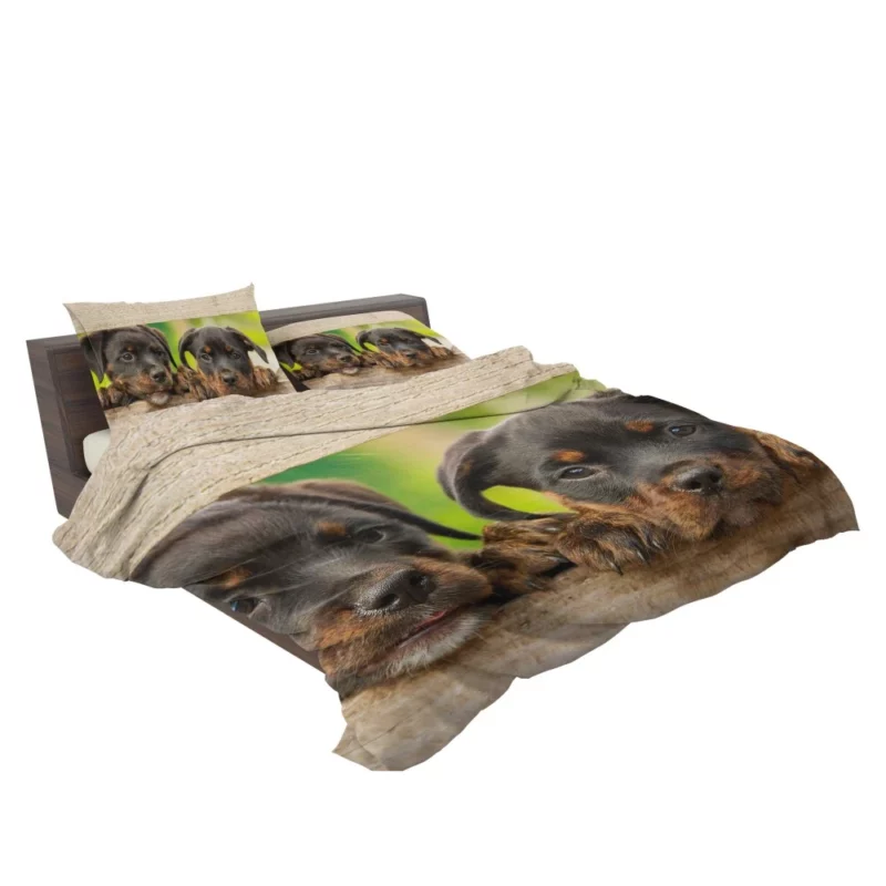 Playful Innocence Rottwe Bedding Set 2