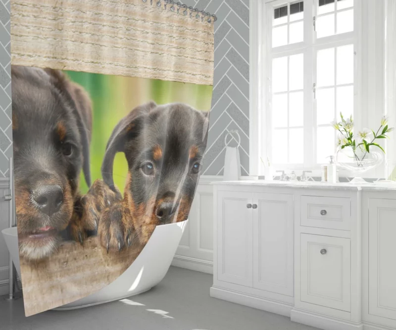 Playful Innocence Rottwe Shower Curtain 1