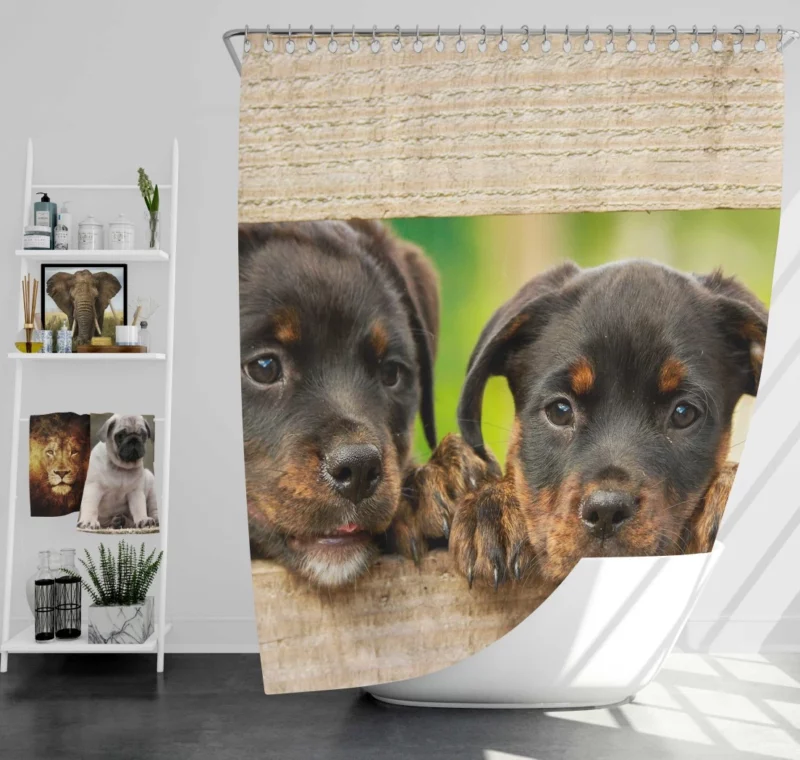 Playful Innocence Rottwe Shower Curtain