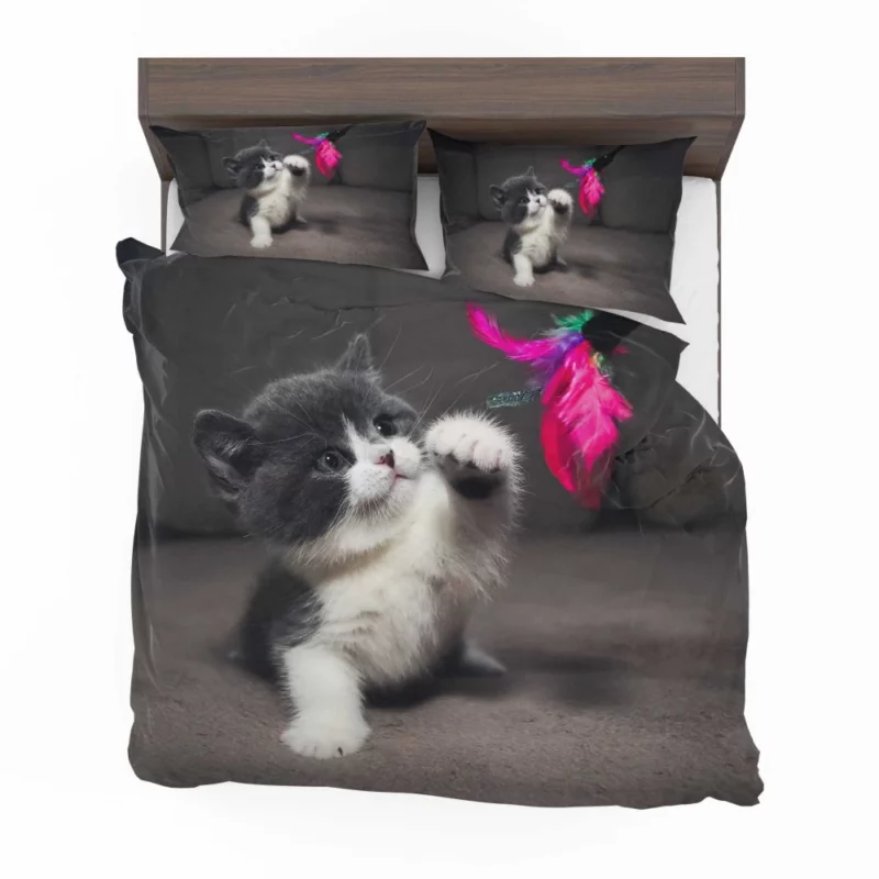 Playful Kitten Innocent Charm Bedding Set 1