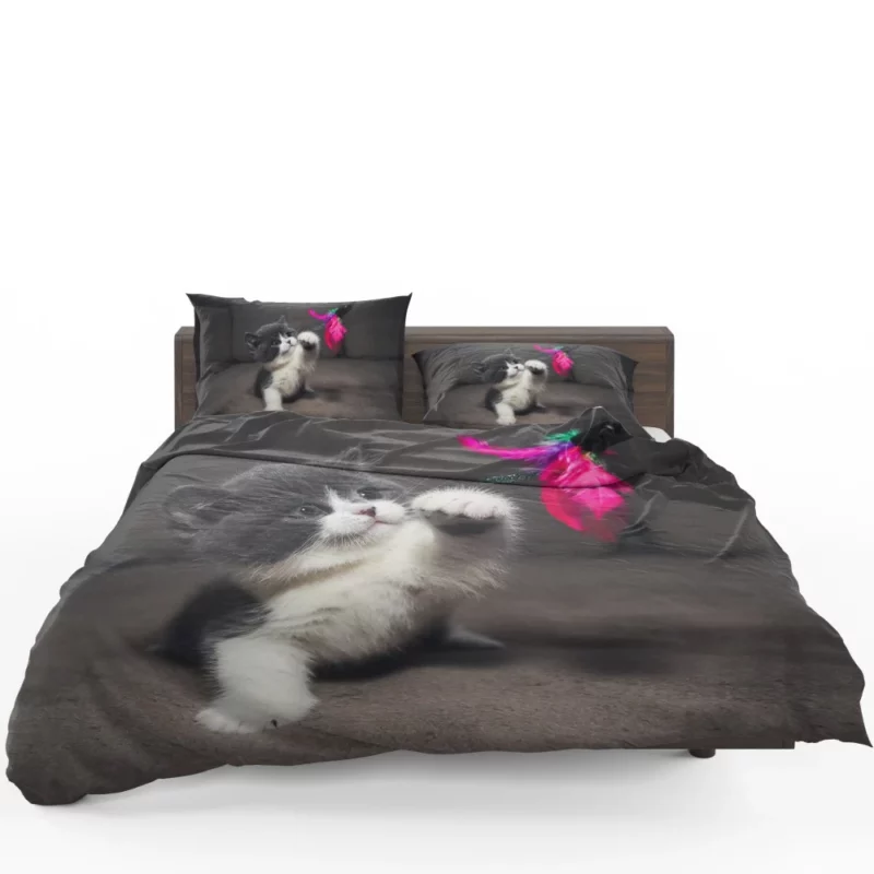 Playful Kitten Innocent Charm Bedding Set