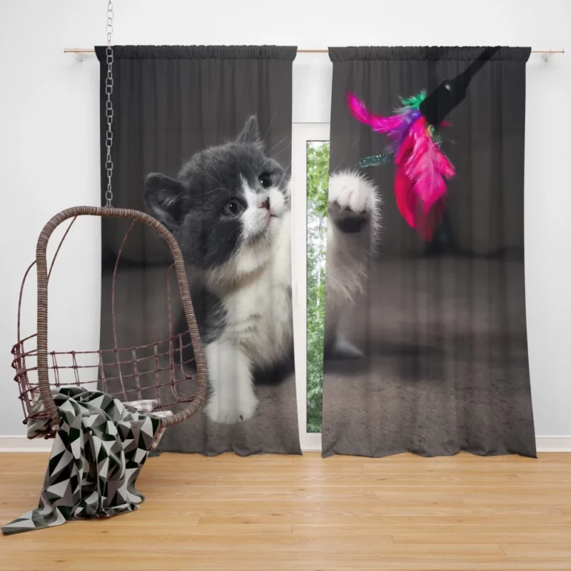 Playful Kitten Innocent Charm Curtain