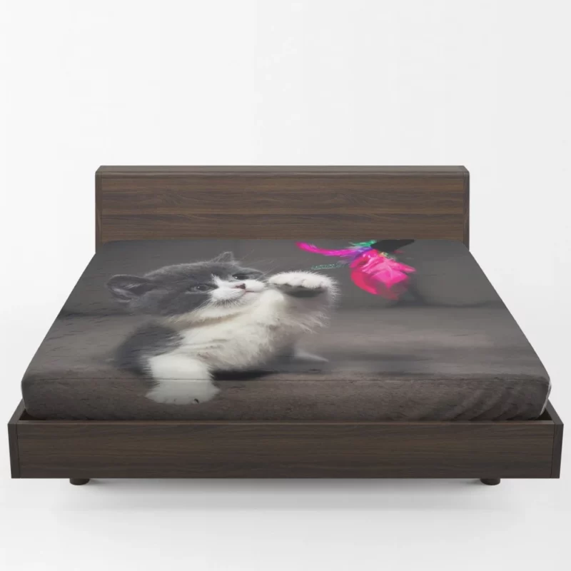 Playful Kitten Innocent Charm Fitted Sheet