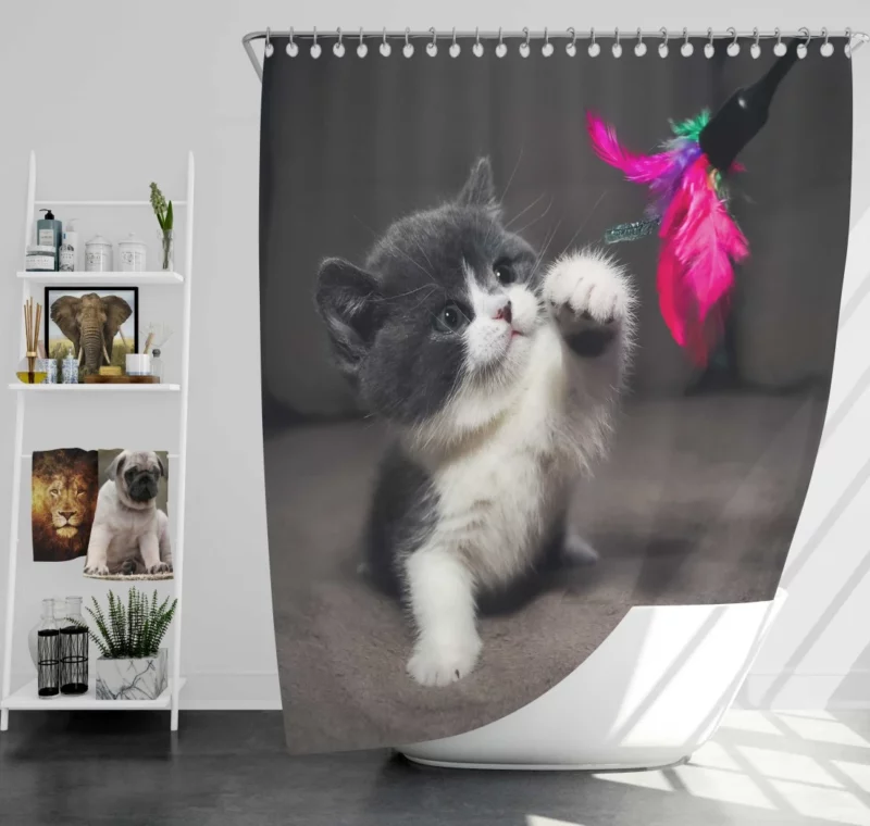 Playful Kitten Innocent Charm Shower Curtain