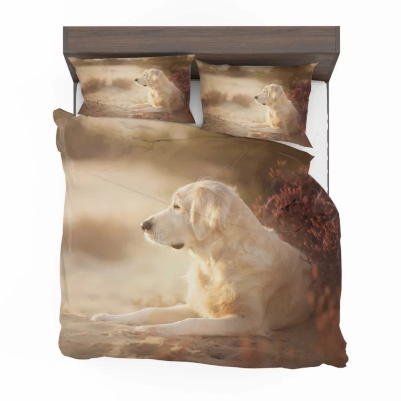 Playful Labrador in Daylight Delight Bedding Set 1