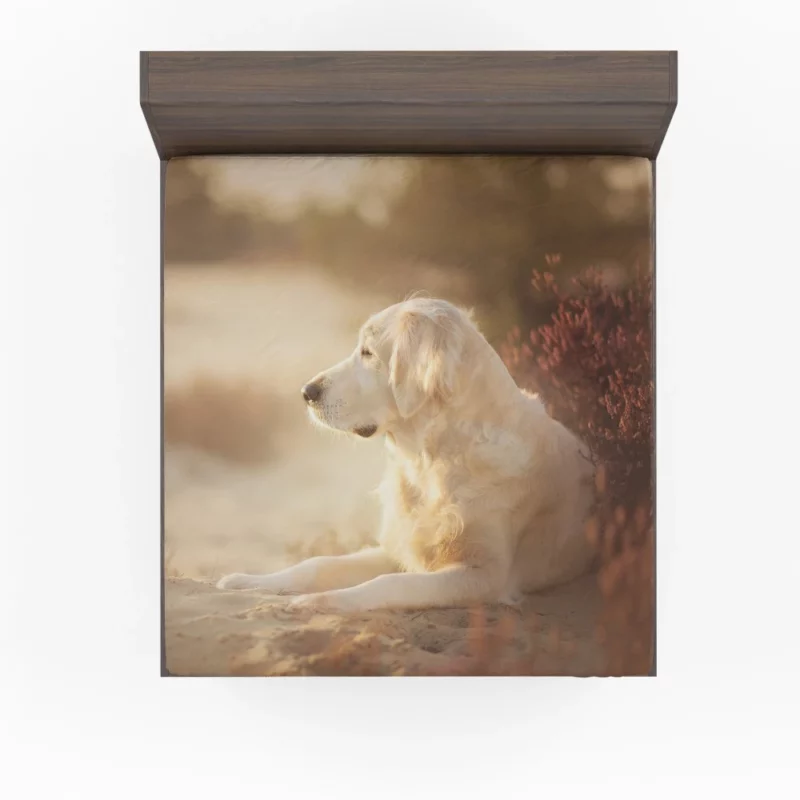 Playful Labrador in Daylight Delight Fitted Sheet 1