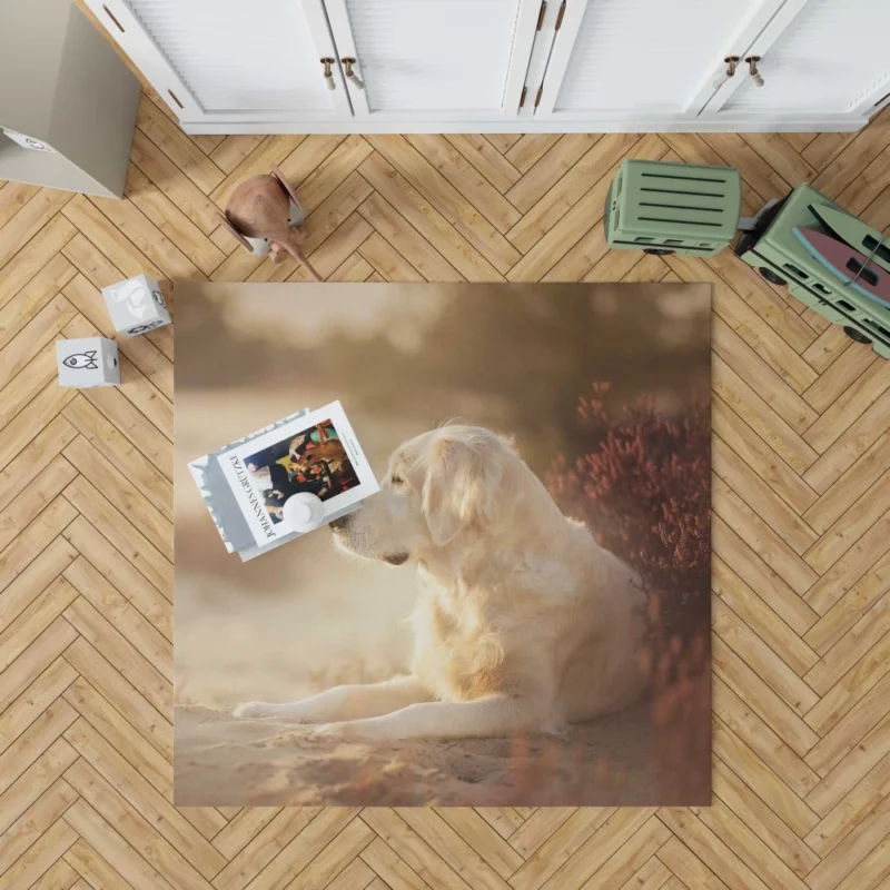 Playful Labrador in Daylight Delight Rug