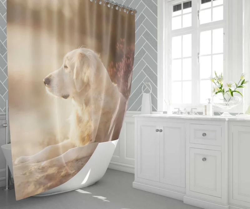 Playful Labrador in Daylight Delight Shower Curtain 1