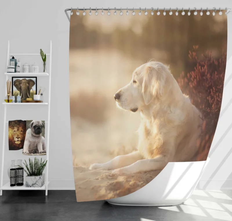 Playful Labrador in Daylight Delight Shower Curtain