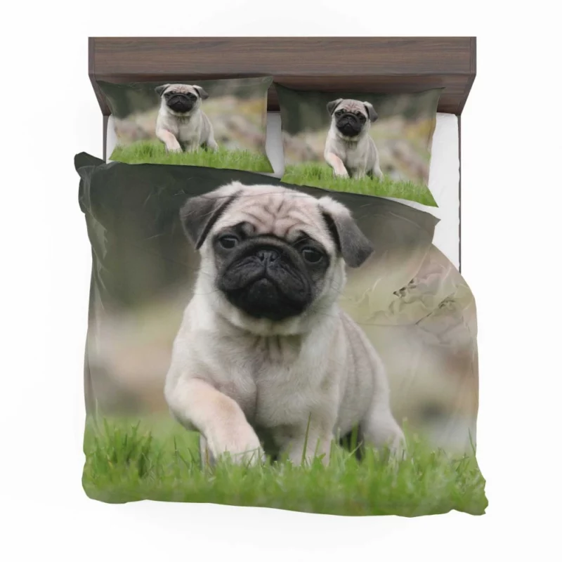 Playful Moments Pug Adorableness Bedding Set 1