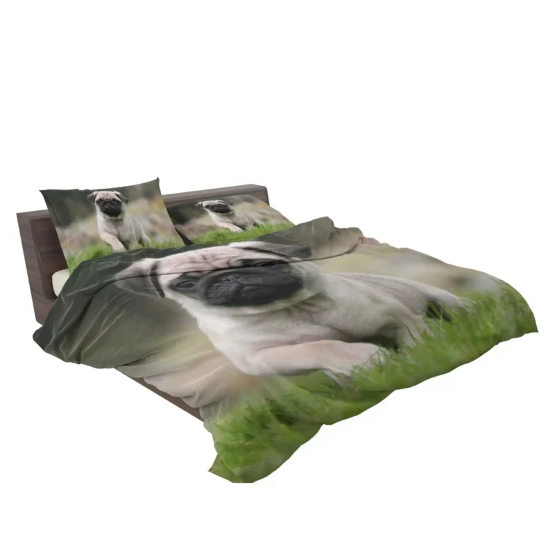 Playful Moments Pug Adorableness Bedding Set 2