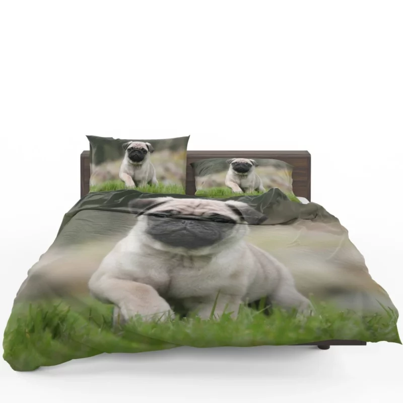 Playful Moments Pug Adorableness Bedding Set