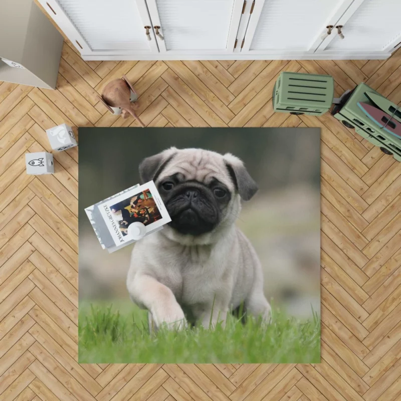 Playful Moments Pug Adorableness Rug