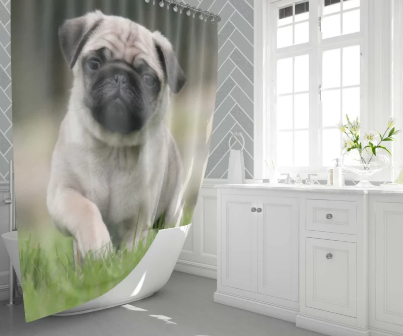 Playful Moments Pug Adorableness Shower Curtain 1