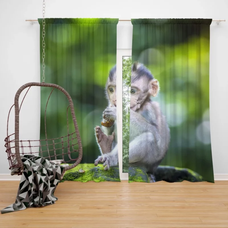 Playful Monkey Bokeh Frolic Curtain