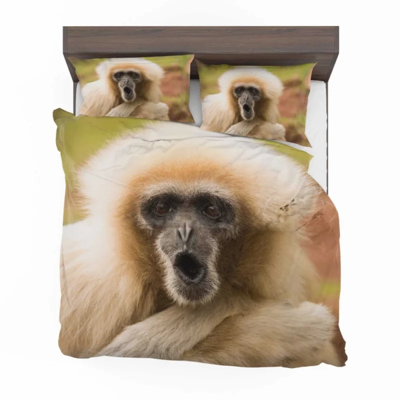 Playful Monkey Primate Antics Furry Fun Bedding Set 1