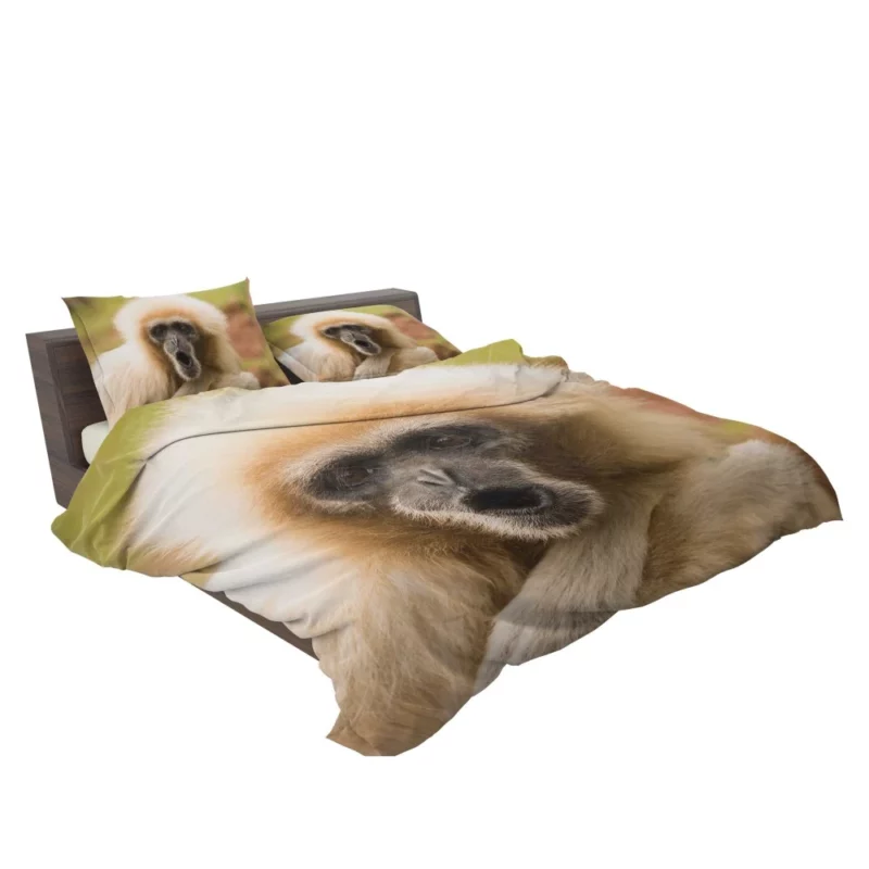 Playful Monkey Primate Antics Furry Fun Bedding Set 2