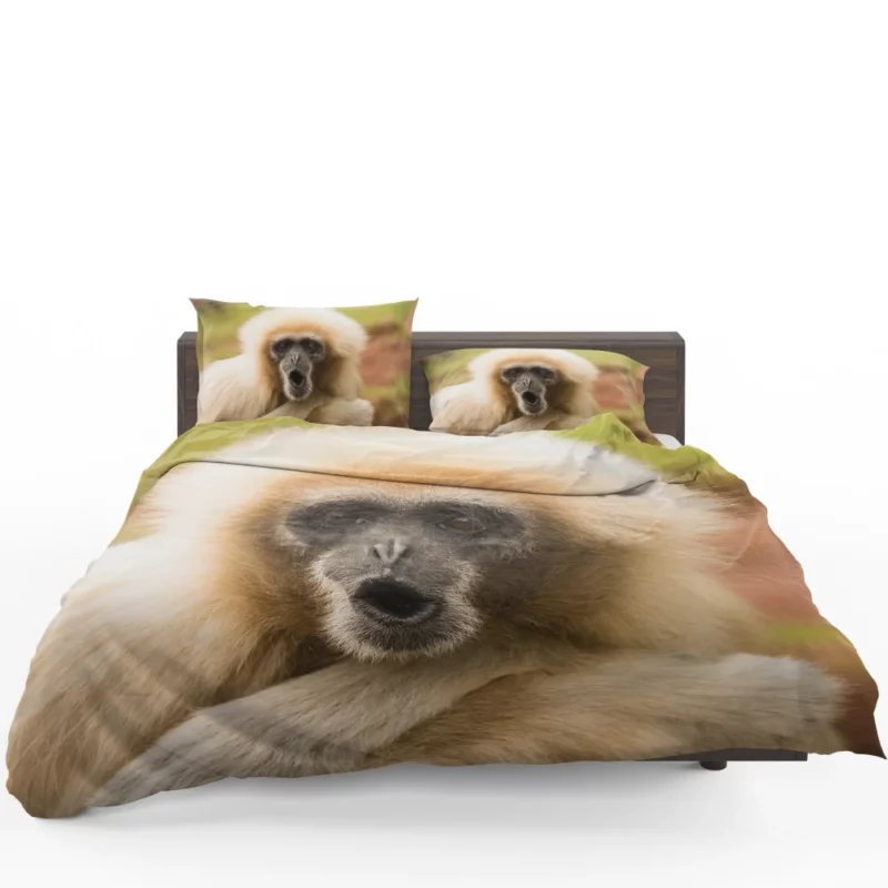 Playful Monkey Primate Antics Furry Fun Bedding Set