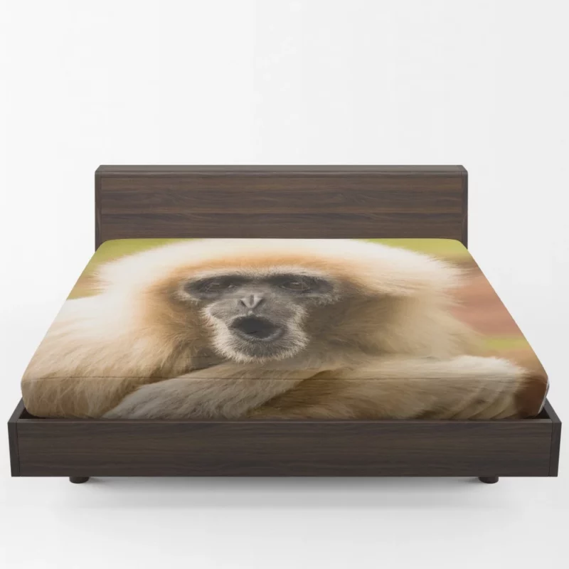 Playful Monkey Primate Antics Furry Fun Fitted Sheet