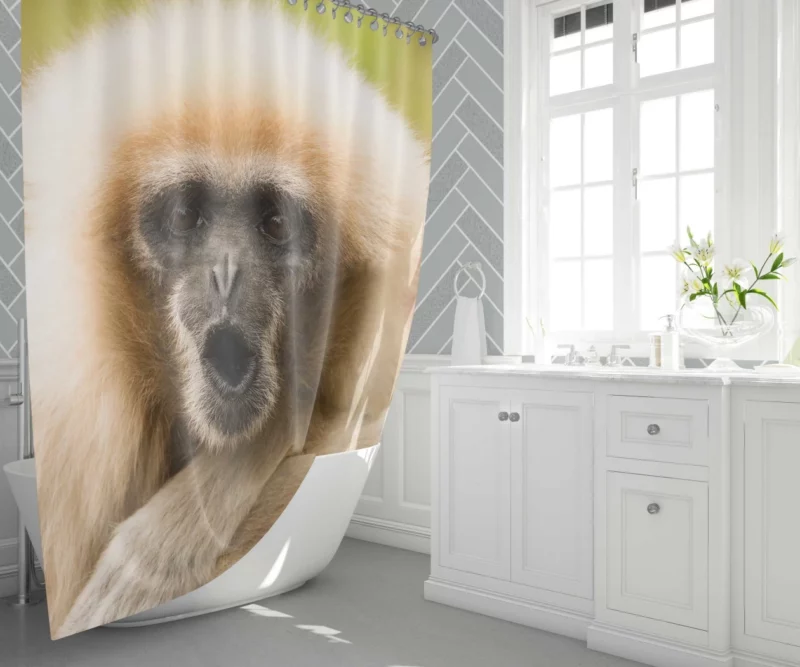 Playful Monkey Primate Antics Furry Fun Shower Curtain 1