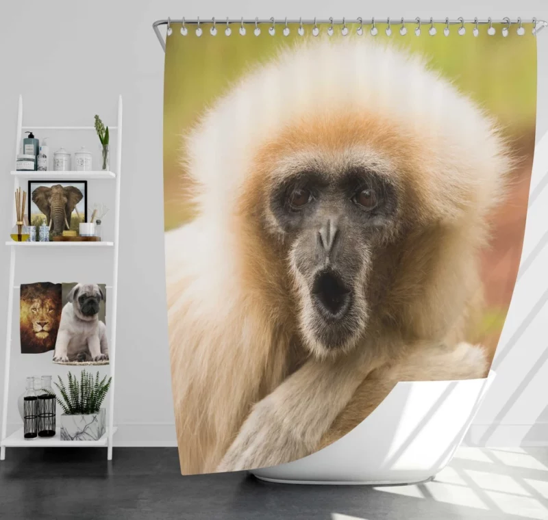 Playful Monkey Primate Antics Furry Fun Shower Curtain