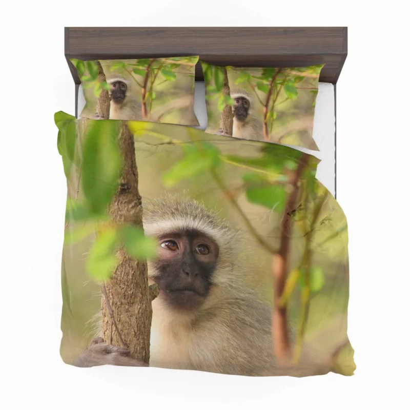 Playful Monkey Wild Antics Unleashed Bedding Set 1