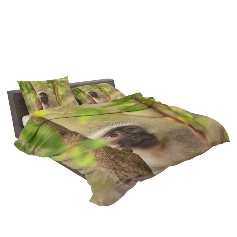 Playful Monkey Wild Antics Unleashed Bedding Set 2