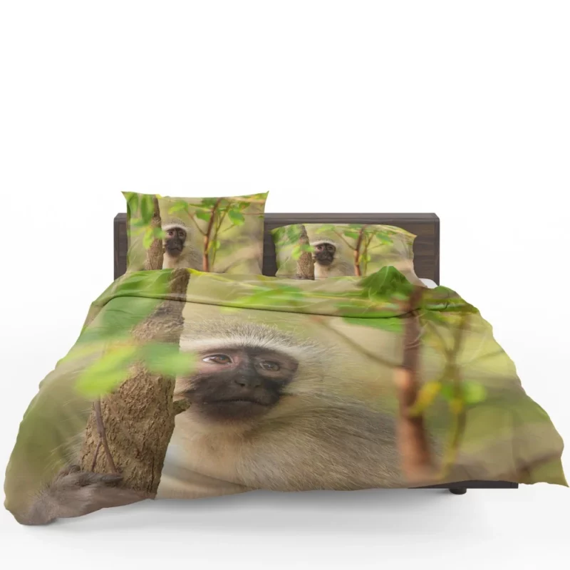 Playful Monkey Wild Antics Unleashed Bedding Set