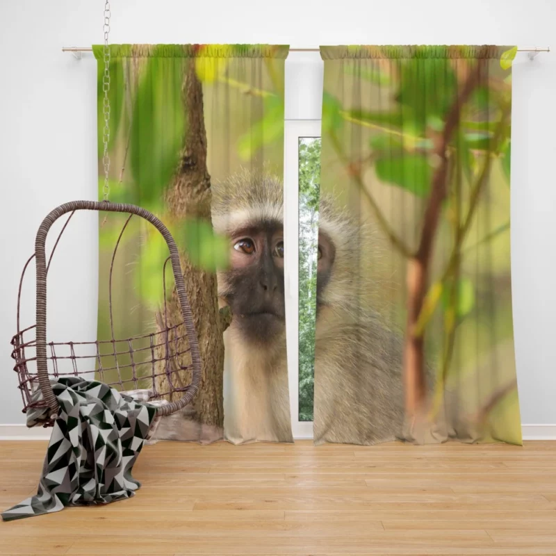 Playful Monkey Wild Antics Unleashed Curtain